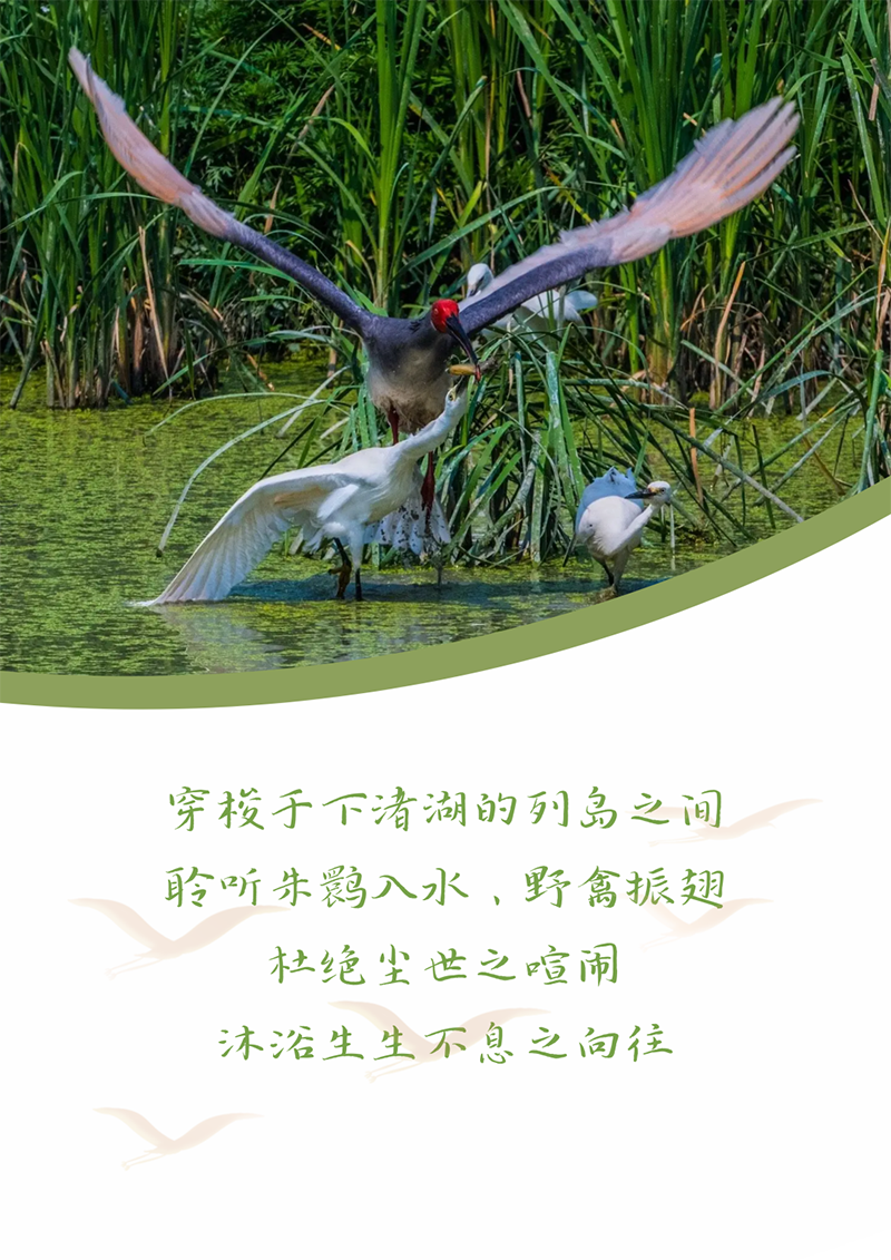 心心念廿 相伴1xBET | 与德清相约 贺廿载诞辰